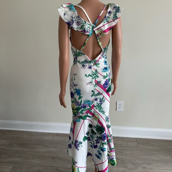 Cassandra - Picture 4 of 4